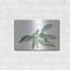 «Sage I» par Chris Paschke-927220585