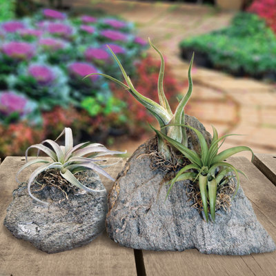 Ovalle Handmade Pot Planter