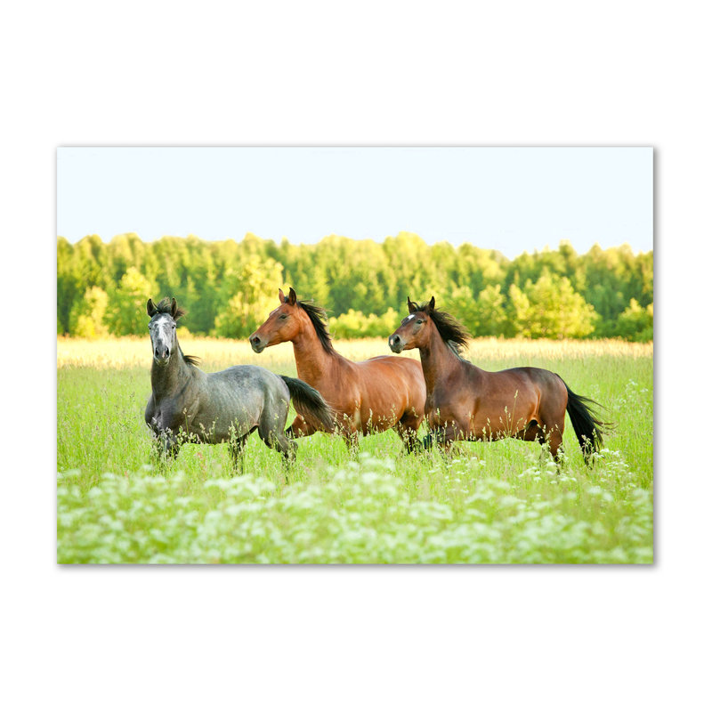 Horses in a Gallop 1 Piece Wrapped Canvas Wall Art