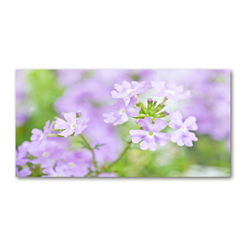 Verbena - Wrapped Canvas Print