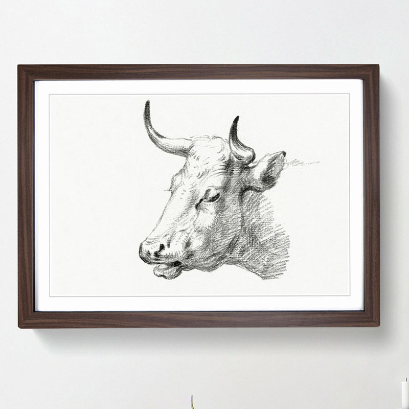Head of a Cow by Jean Bernard - Picture Frame Drawing Print, Walnut Framed, 27cm H x 36cm W x 2cm D