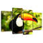 Toucan toco-925594981