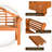 Daphie Solid Wood Eucalyptus Outdoor Bench