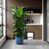 Antique Blue est en rupture de stock