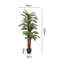 200cm Faux Fern Tree in Freestanding