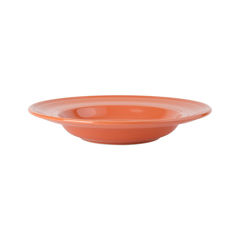 Concentrix 24.5-Ounce Pasta Bowl
