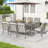 Leigh 8 - Person Patio Dining Set with Rectangular Table , Cushions Included