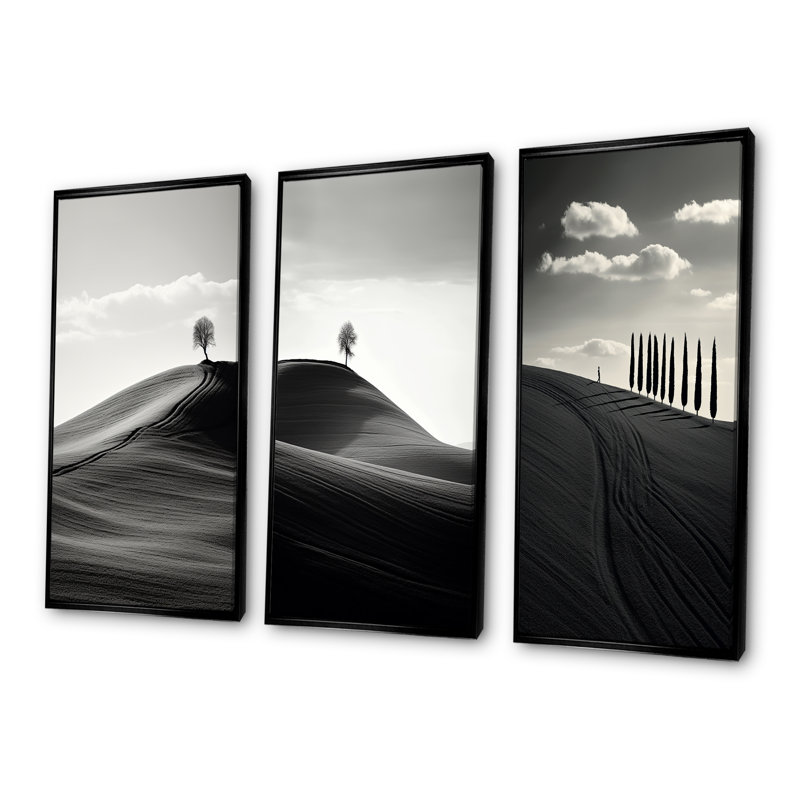 Paysage de désert noir et blanc, H 28 po x l 36 po, Cadre flottant noir
