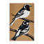  Tapis lavable Willie Wagtail Birds-975258069