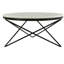 Haley Marble Coffee Table-77790568