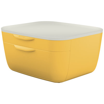 Plastic Desk Organiser