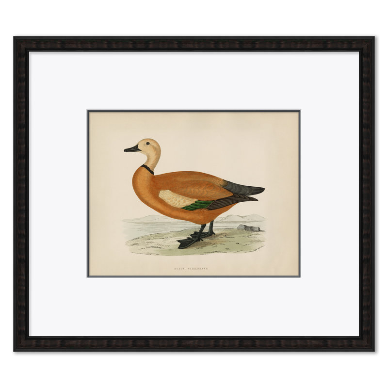 Duck Series Giclee Print by Paul Cezanne