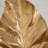42in. Artificial Palm Gold Stems, Set of 3