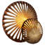 Spatial Wall Sconce