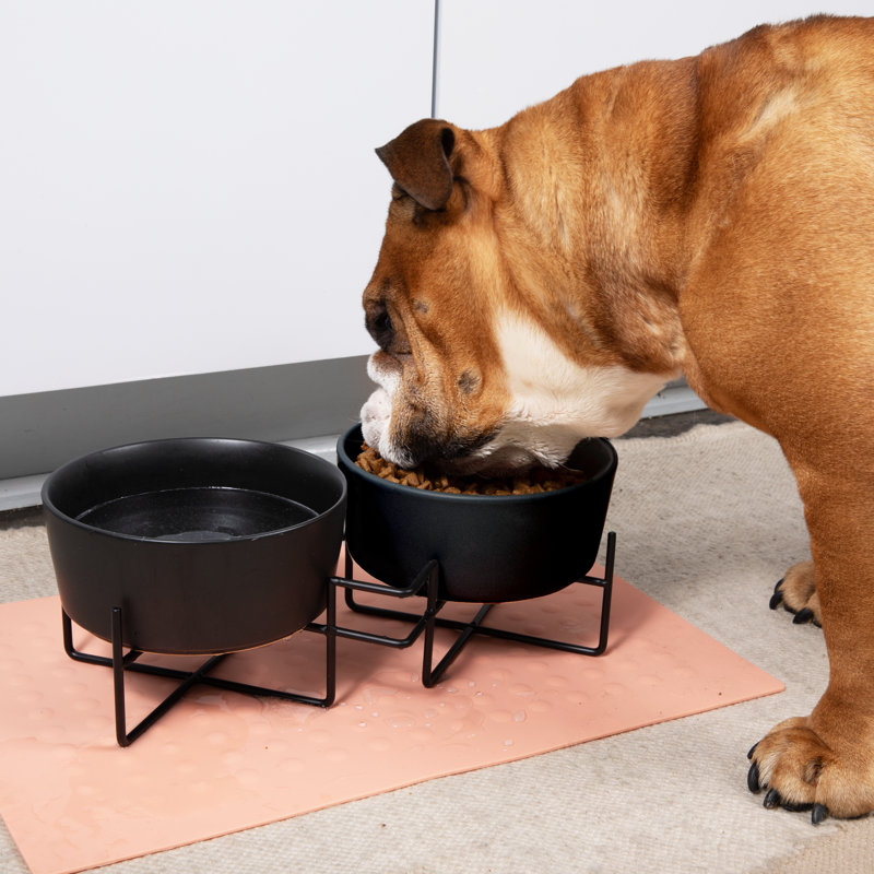 Elevated Feeder, Large (17"), Large (8 cups / 64 fluid oz)