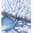 Majorca 100% Cotton Fabric