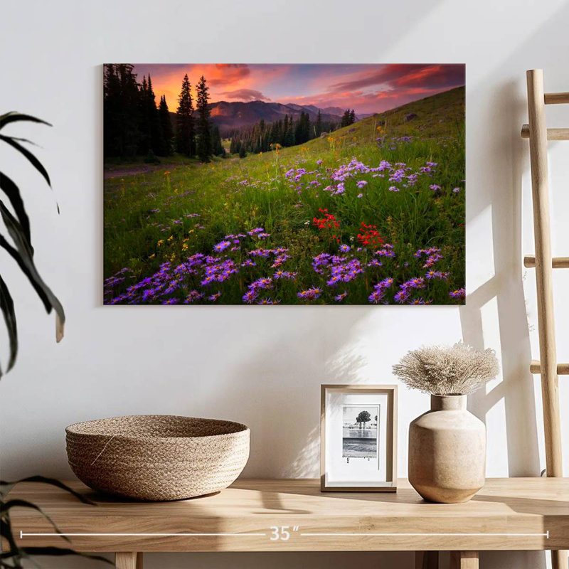 Alvord Rocky Mountains Wildflowers, H 16 po x l 24 po