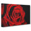 Red Rose Flower Vol.6 - Wrapped Canvas-61837131