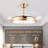Ceiling Fan