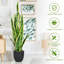 93cm Faux Snake Plant (Sansevieria) Plant