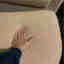 Photos des clients 1 de 2