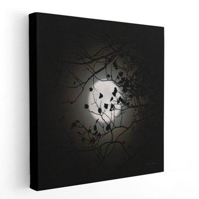 Vermont Blue Moon - reproduction d'art sur toile
