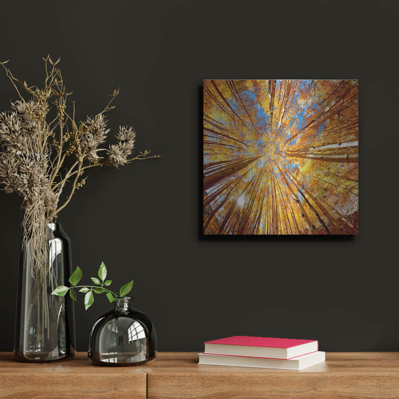 «Colorado Autumn Splendor» par Lena Owens, H 12 po x l 12 po