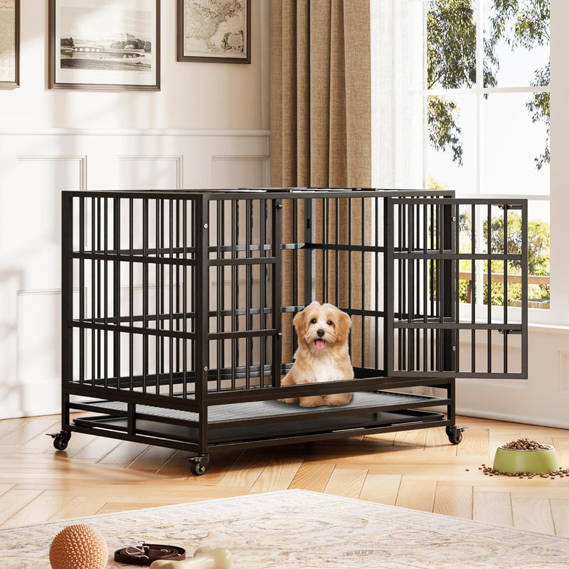 Cage pour chien robuste, cage intérieure pliable pour chien avec double porte, roues verrouillables à 360 °