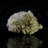 Barite on Quartz From Peru