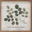 Enjoy The Little Things Simple Greenery - blanc-1441904133