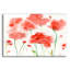 «Poppy Reds» par Sheila Golden-619957862