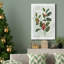 Toile tendue avec châssis Botanical Holly Berry-403508564