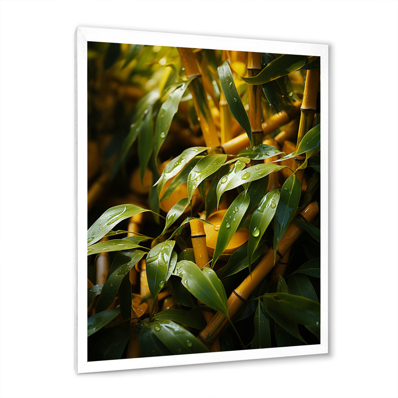 Bamboo Sunset photographie IV - impression sur toile de bambou_106583, H 32 po x l 24 po x P 1 po, Cadre photo blanc