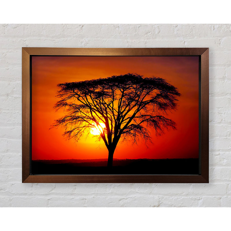 Coman Sunset Through The Trees - Single Picture Frame Print, 59.7cm H x 84.1cm W x 3.4cm D, Bronze Framed Paper