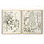 «Sepia Botanical Journal», reproduction encadrée de qualité supérieure - prête à être accrochée - aucun clou requis - aucun clou requis-634959433-634959439