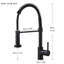 Belfry Kitchen Adamsburg Kitchen Faucet