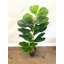 Faux Fiddle Leaf Fig Tree