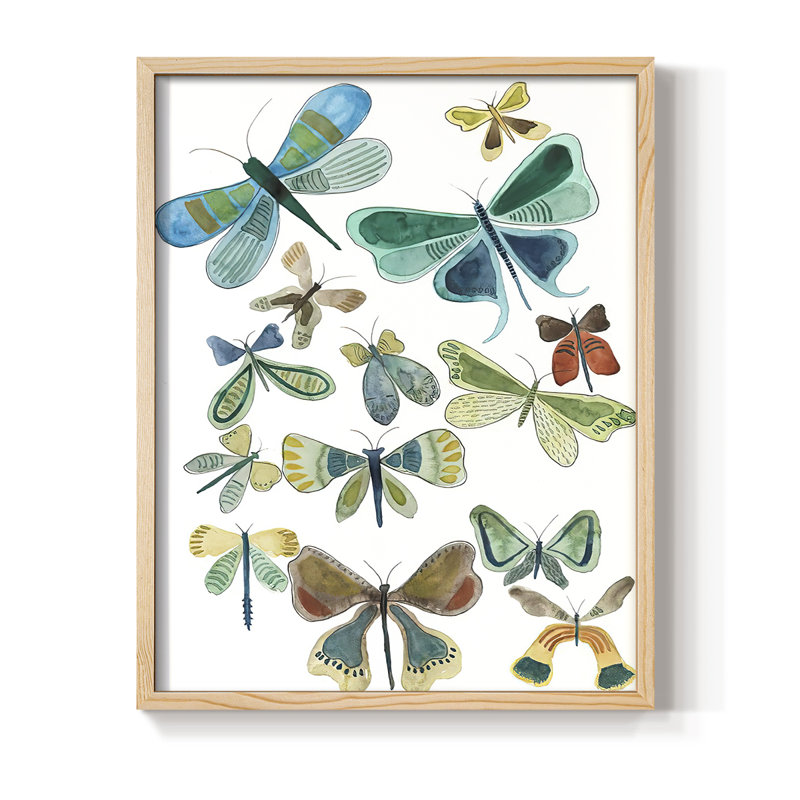 Wings Galore I, reproduction encadrée - bois massif, H 30 po x l 24 po