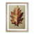 Oak Framed