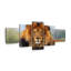 Proud Lion - ensemble de 5 toiles tendues-846844076