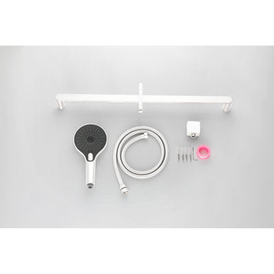 Barre de douche avec barre à main et boyau de douche de 69 po - Élément de conception moderne en acier inoxydable