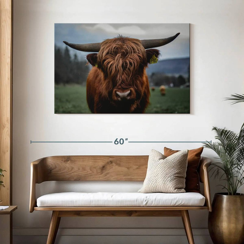 Brampt allemand Highland Cow, H 30 po x l 45 po
