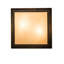 Plafonnier semi-encastré 17 po 2 lumières Almont