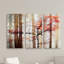 " Orange Awakening " 3 - Pieces-394325566