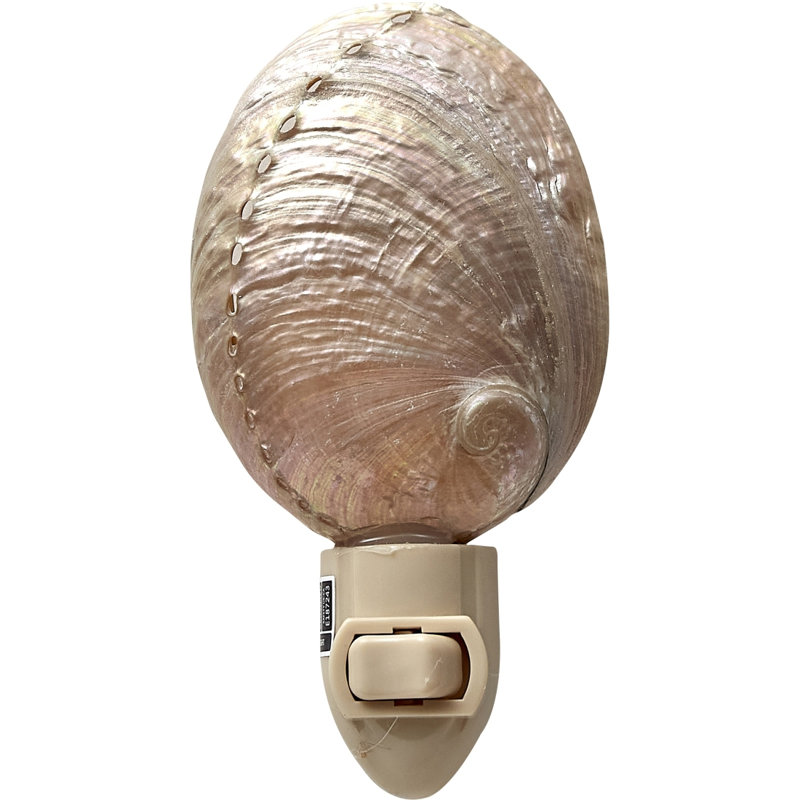 Veilleuse perle abalone à DEL