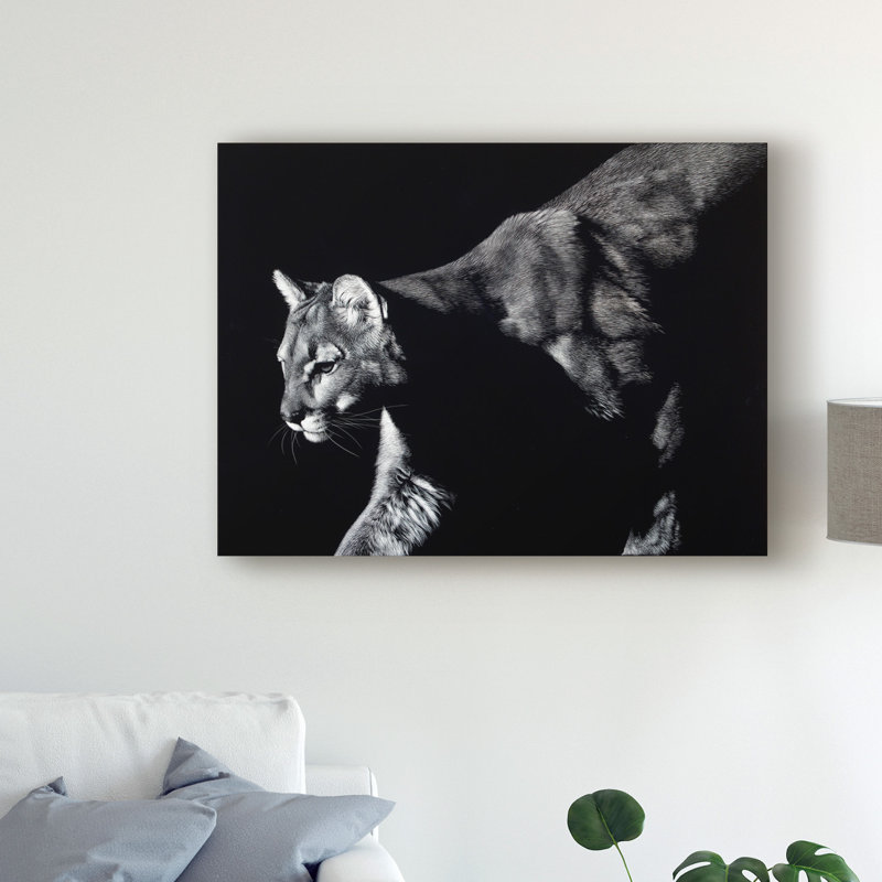 « prowler lion », reproduction de photo sur toile tendue, H 14 po x l 19 po x P 2 po