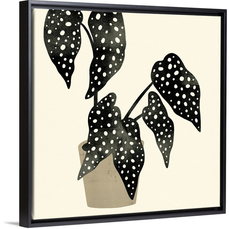 Art mural sur toile Plantling III, Toile avec cadre noir, H 14 po x l 14 po