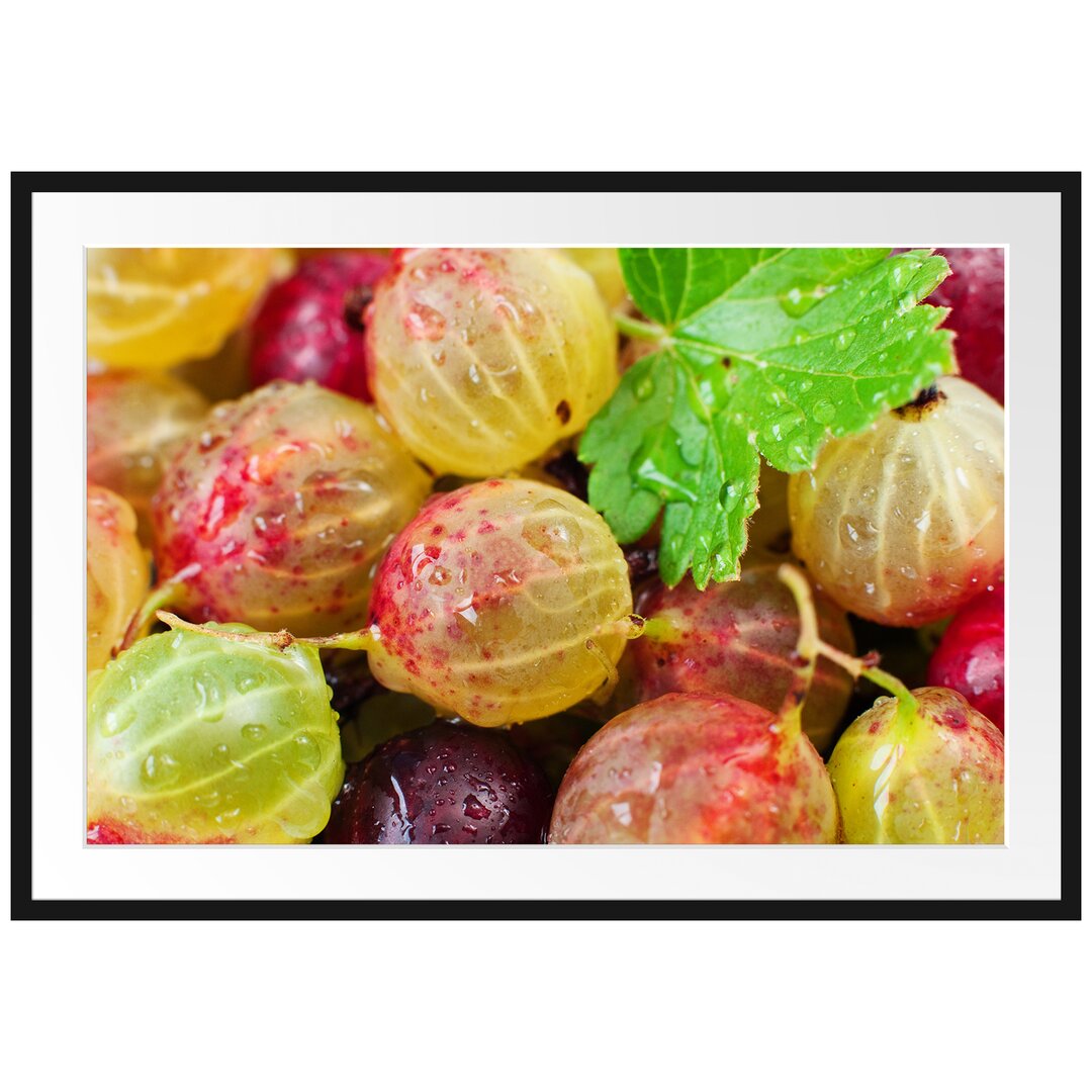 Gerahmtes Poster Leckere Stachelbeeren