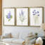 Lilas botanique délicat - impression encadrée sur mesure de qualité supérieure - 3 pièces