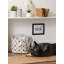 Cube / bac pour animal de compagnie Paw / Bone-1704130184